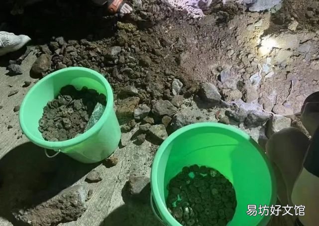 当地发布通告追缴 小区挖出宋代古币引哄抢