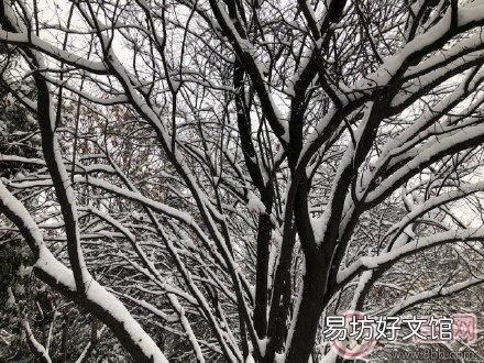 2018小寒快乐祝福语说说朋友圈 今天小寒说说朋友圈配图