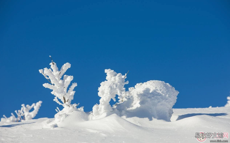 第一次见到雪心情短语说说朋友圈 形容第一次看见雪的心情句子