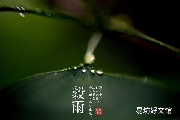 今日谷雨朋友圈说说发什么好 2018今日谷雨一句话说说