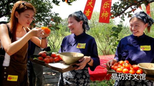 柿子不能和什么一起吃 宝宝能吃柿子吗