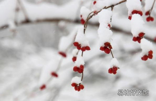2018大雪养生食谱推荐 大雪节气吃什么好