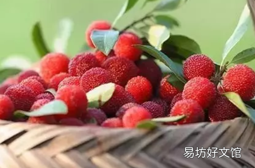 坐月子吃杨梅好不好 坐月子期间能吃杨梅吗