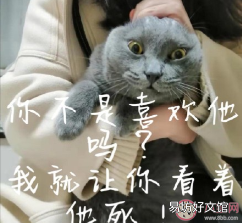 谈恋爱颜值真的很重要吗 长得丑但对你好的人会和他谈恋爱吗