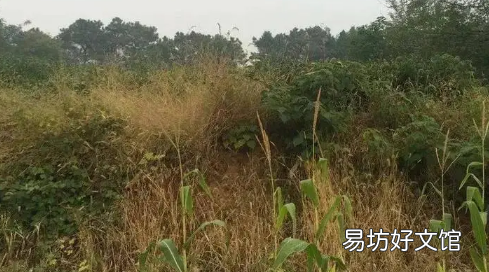 选墓地周围环境有什么讲究 葬地选择怎样气运位置