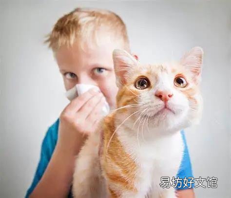 猫咪油尾巴怎么根治(猫咪油尾巴怎么治疗)