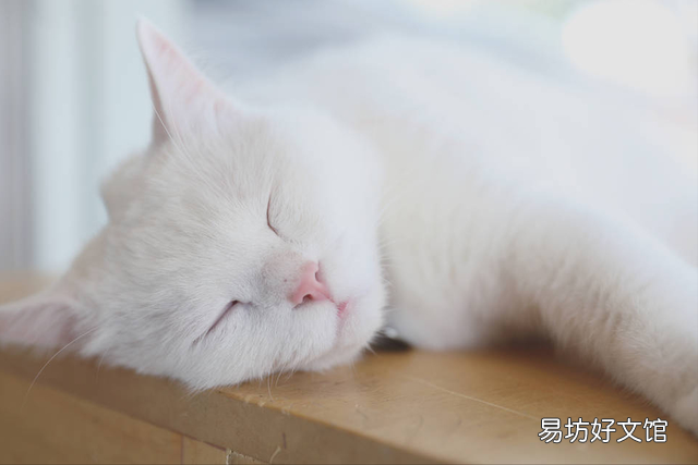 小猫睡觉一抽一抽的咋回事(小猫睡觉时一抽一抽的)