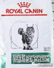 猫减肥一天吃多少猫粮(减肥的猫一天吃多少猫粮)
