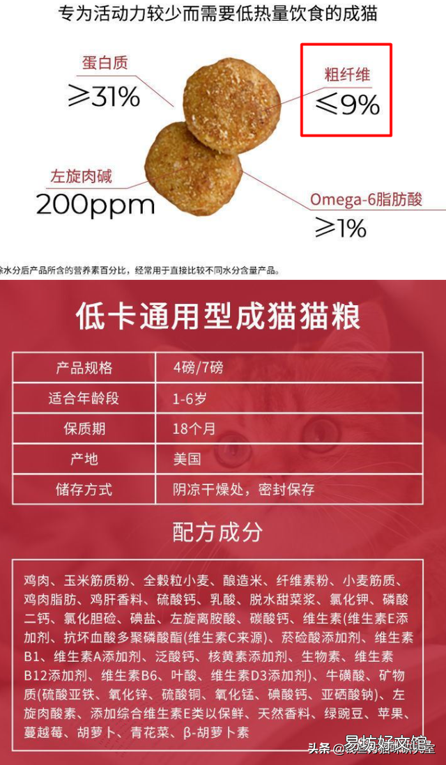 猫减肥一天吃多少猫粮(减肥的猫一天吃多少猫粮)