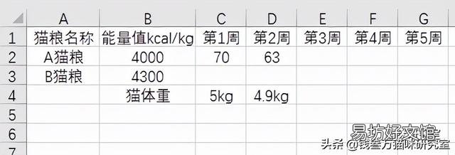 猫减肥一天吃多少猫粮(减肥的猫一天吃多少猫粮)