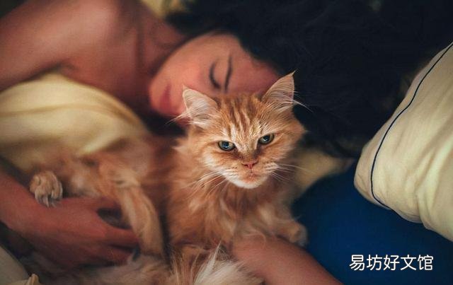 猫睡床上有细菌吗(被猫睡过的床细菌多吗)