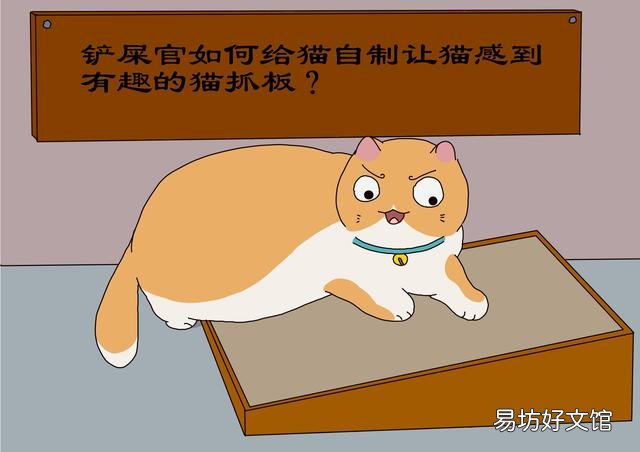 猫抓板怎么做(猫抓板做法)
