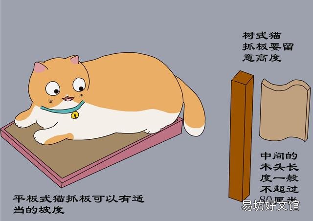 猫抓板怎么做(猫抓板做法)