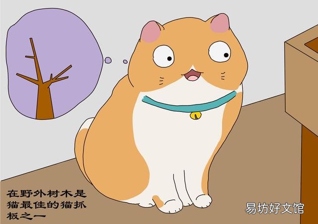 猫抓板怎么做(猫抓板做法)