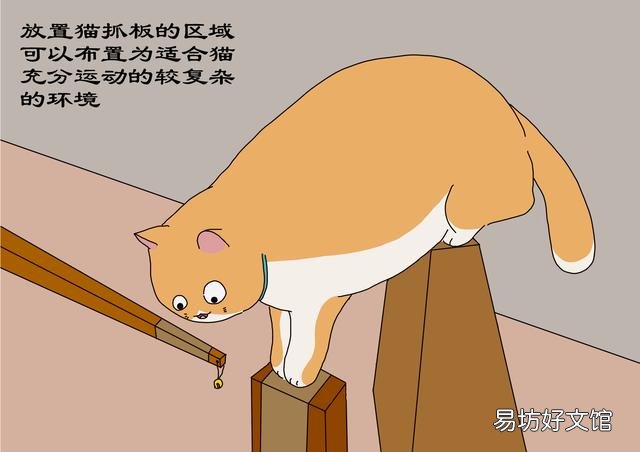 猫抓板怎么做(猫抓板做法)