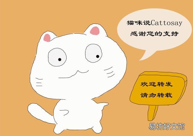 猫抓板怎么做(猫抓板做法)