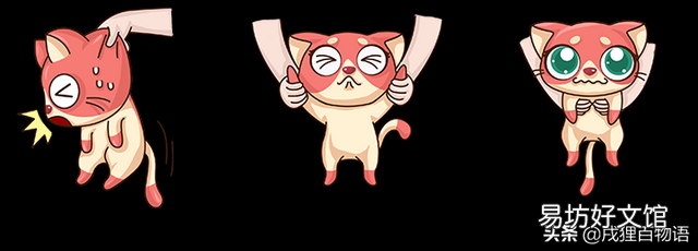猫咪不让抱怎么办(猫咪不让抱怎么回事)