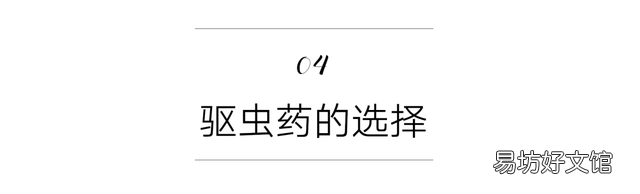 猫虱子会传染给人吗(猫长虱子会传染给人吗)