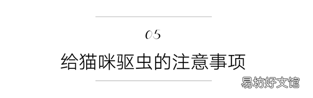猫虱子会传染给人吗(猫长虱子会传染给人吗)
