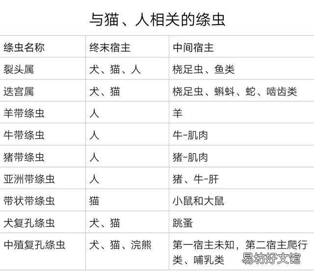 猫虱子会传染给人吗(猫长虱子会传染给人吗)