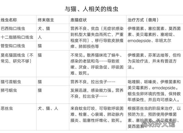 猫虱子会传染给人吗(猫长虱子会传染给人吗)