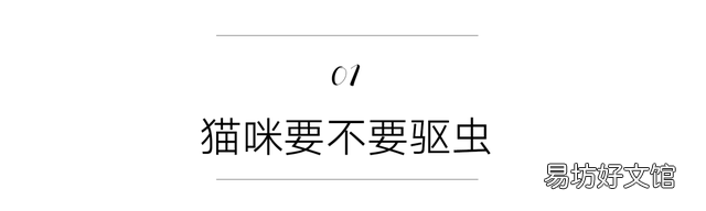 猫虱子会传染给人吗(猫长虱子会传染给人吗)