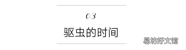 猫虱子会传染给人吗(猫长虱子会传染给人吗)