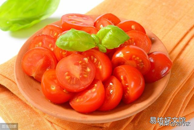 貓能吃土豆嗎(貓吃土豆絲可以嗎)