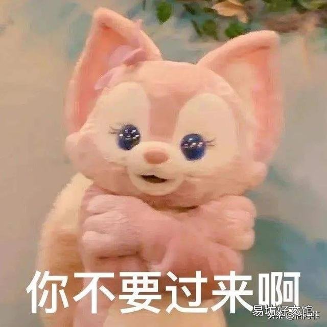 猫崽多少天过危险期(小猫崽几天度过危险期)