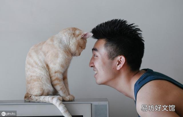 小猫不停的叫还蹭你腿是为什么(小猫蹭腿一直叫)