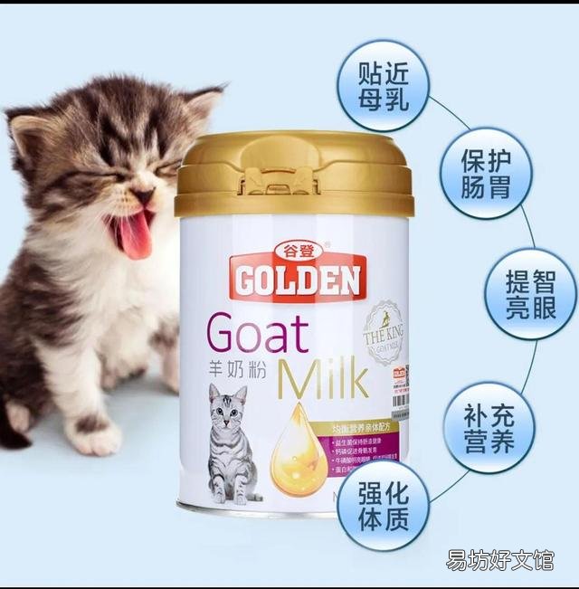 小猫什么时候睁眼(小猫什么时候睁眼睛)