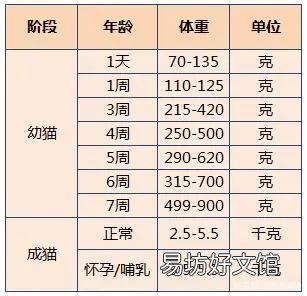 猫体重多少正常(成年公猫体重多少正常)