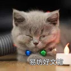 猫眼屎多是什么原因(猫眼屎多正常吗)