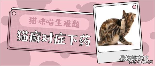 猫藓用什么药(猫藓用什么药最有效)