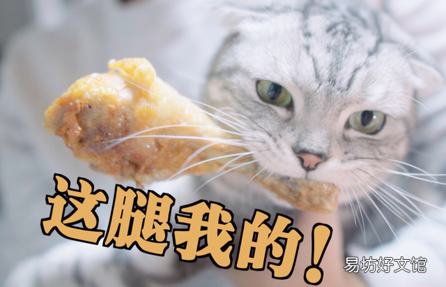 猫可以吃薯片吗(猫可不可以吃薯片?)