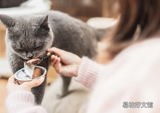 猫可以吃薯片吗(猫可不可以吃薯片?)