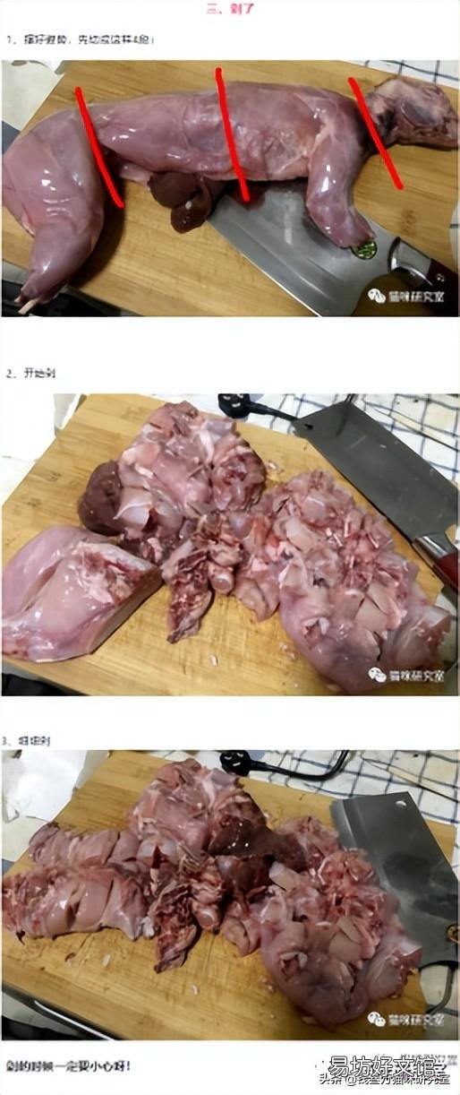 蓝氏猫粮到底怎么样(蓝氏猫粮属于什么档次)