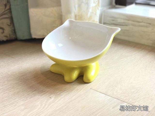 猫碗多久洗一次(猫碗多久洗一次比较好)