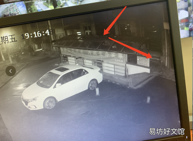 猫丢了会自己回来吗(猫丢了会在原地等吗)