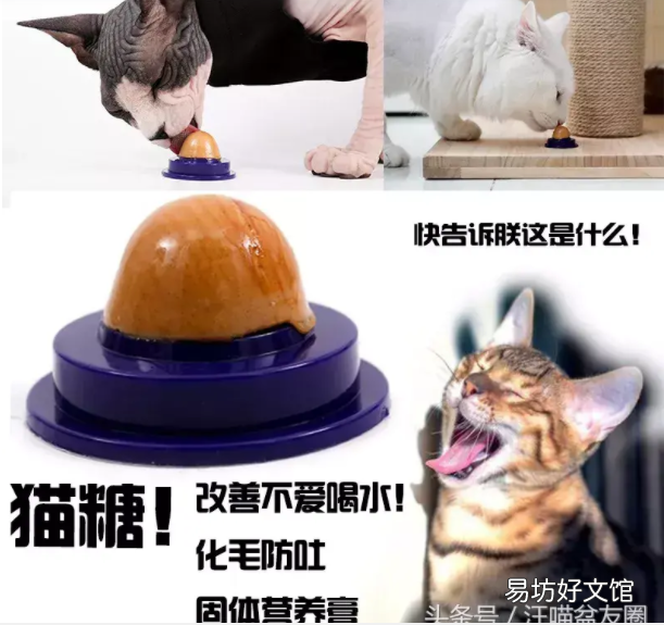 猫糖有什么作用(猫糖有什么作用与功效)