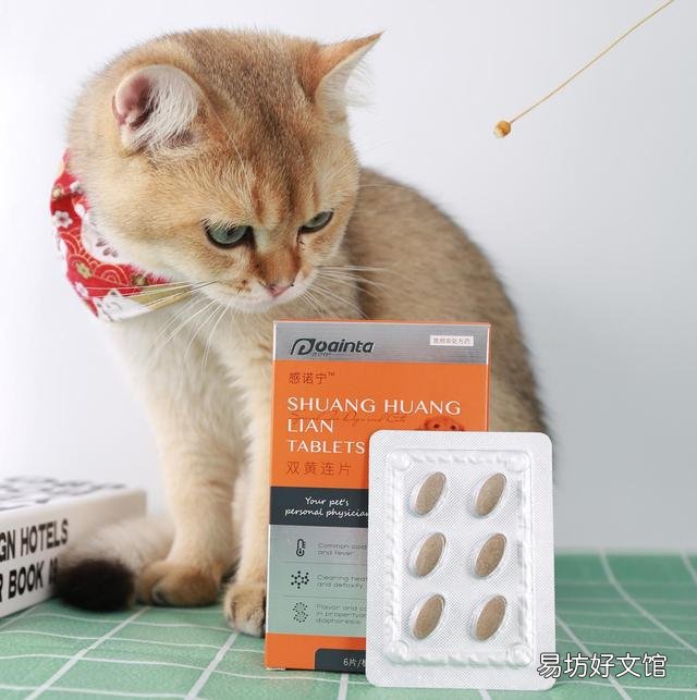 猫咪烘干箱开多少度合适(猫咪烘干一般调多少度)
