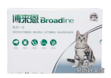 小猫驱虫药哪个牌子好(宠物猫驱虫药什么牌子好)