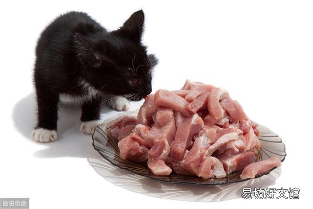 猫咪吃自制猫粮好吗(自制的猫粮到底好不好)