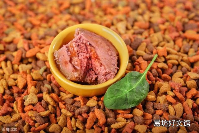 猫咪吃自制猫粮好吗(自制的猫粮到底好不好)