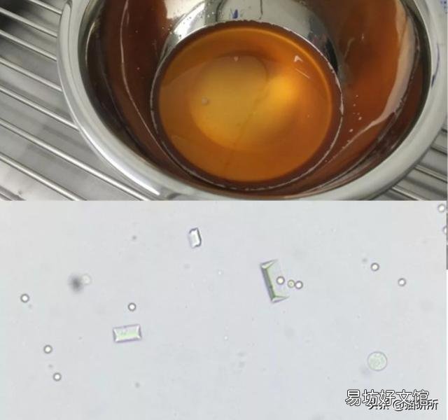 猫咪做体检一般做哪些项目(猫咪体检要做哪些项目)