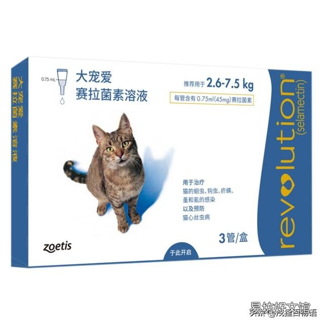 猫皮肤有螨虫症状(猫皮肤有螨虫症状用什么药)