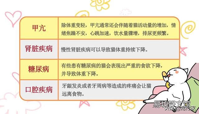 猫越养越瘦是怎么回事(猫越养越瘦是什么原因造成的)