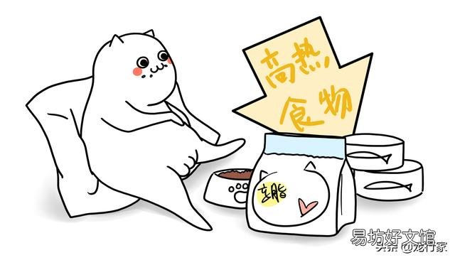 猫越养越瘦是怎么回事(猫越养越瘦是什么原因造成的)