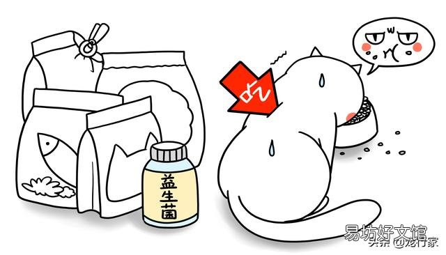 猫越养越瘦是怎么回事(猫越养越瘦是什么原因造成的)