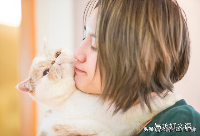 加菲猫的特点和生活特征(加菲猫的特点和生活特征是什么)